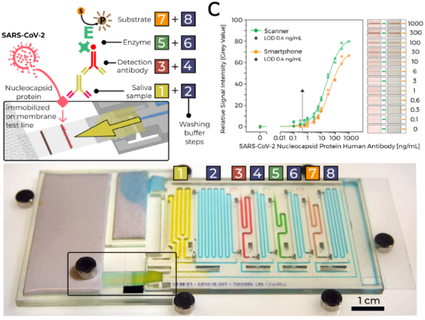 covid 19 anticorpo test microfluidica catena reazione strutturalmente programmato capillare flusso eventi Junckerlab 3d print model - Mito3D