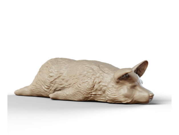 corgi sploot repolho 3D print model - Mito3D