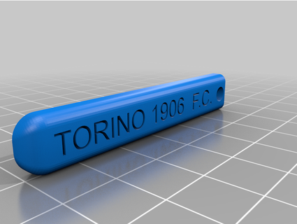 clé titulaire soutien torino v1 cial 3d print model - Mito3D