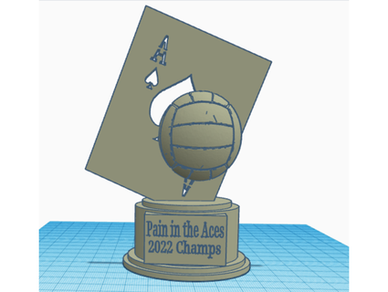 volleyball trophy shandiggitty 3d print model - Mito3D