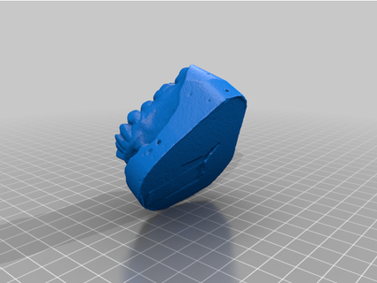 dente modello generato revopoint pop 2 3d print model - Mito3D
