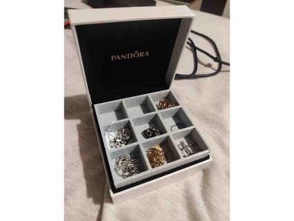 rangement derramar bijuterias bo Pandora resina int Rieur setsunaaisu 3d print model - Mito3D