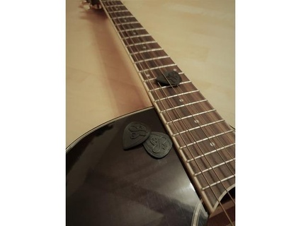 hive guitar pick rayxa17 3d print model - Mito3D