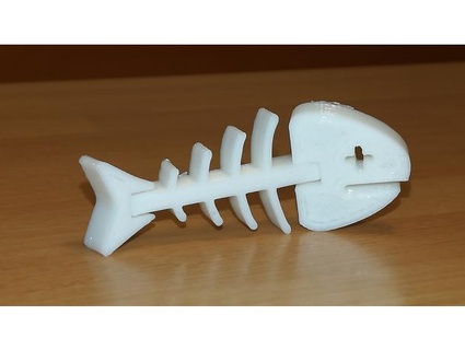 flexi fish skeleton bigmike 3d print model - Mito3D