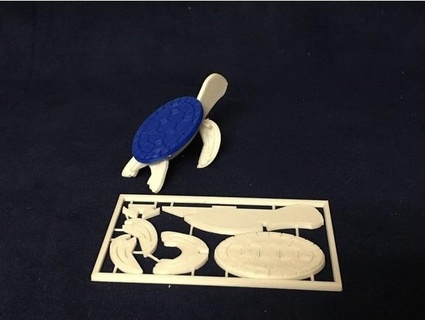 sea turtle kit card winegar21 3d print model - Mito3D