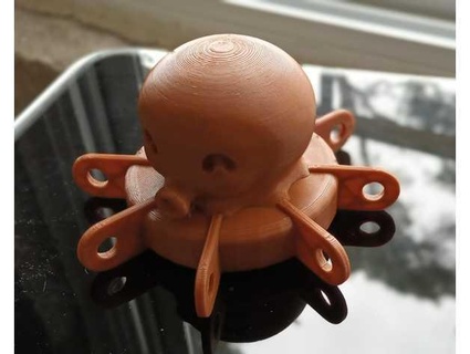 octopus - klein bosch gyroscan 3d print model - Mito3D