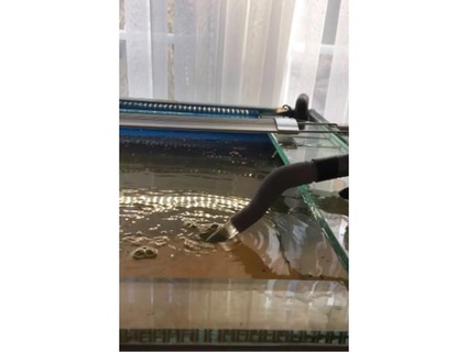 aquarium filter adapter guyausholland 3d print model - Mito3D