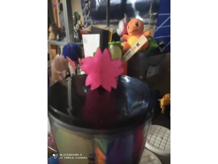 sakura Cereza flor Paja sombrero copa kyuubinoche 3d print model - Mito3D
