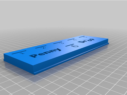 penny drop game - lid sentnttoilet 3d print model - Mito3D