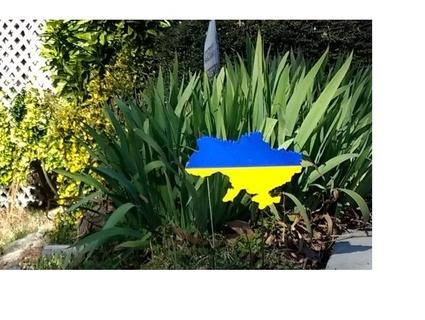 ukrainian map split flag ak tech 3d print model - Mito3D