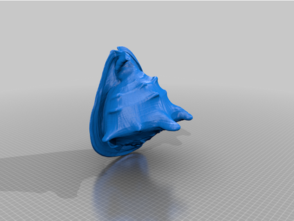 big pretty shellfish generated revopoint pop 2 3d print model - Mito3D
