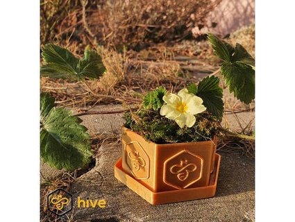 hive flower pot rayxa17 3d print model - Mito3D