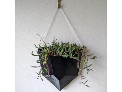 wall hanging planter crystal troutzorz 3d print model - Mito3D