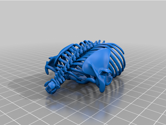 squelette séparé by pièces rodrox draugr skyrim article aîné parchemins jouet 3d print model - Mito3D