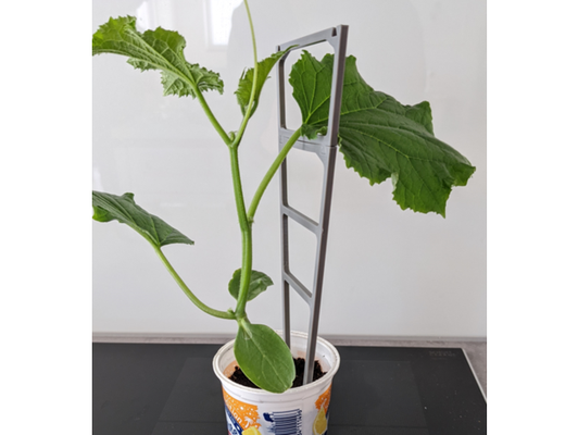 rütbe kafesi by durum biti salatalık domates çardak 3d print model - Mito3D