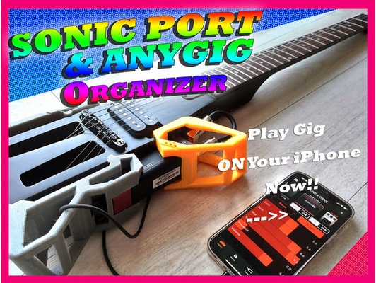 sonic port & anygig organizer mods by codenamex electric guitar electronics gadget music musical instrument toy 3d print model - Mito3D