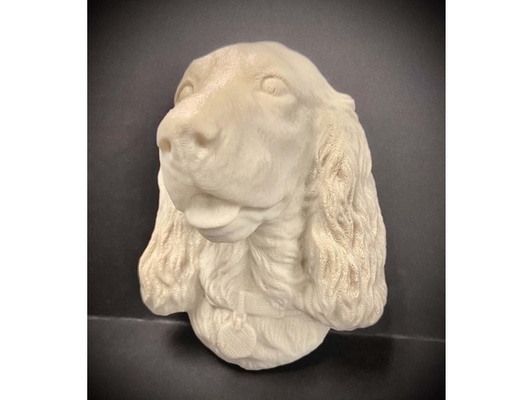 spaniel by scampbell 3d print model - Mito3D