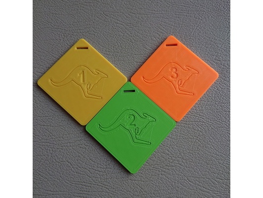matematik madalya by blahab kanguru 3d print model - Mito3D