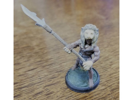 isandlewana by theryanstorm barbarian dungeons dragons tabletop 3d print model - Mito3D