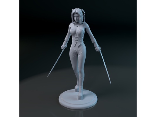 bloodrayne - vampire warrior promotion by rappidfired2001 3d print model - Mito3D