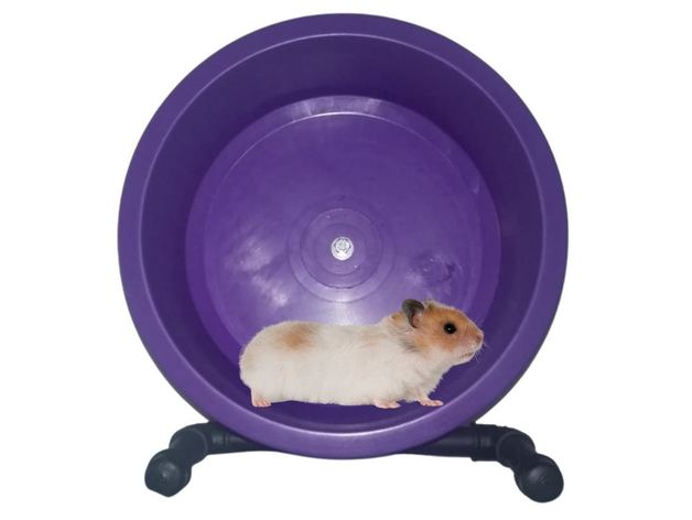 roda hamster by fperiard7 hamsters 3D print model - Mito3D