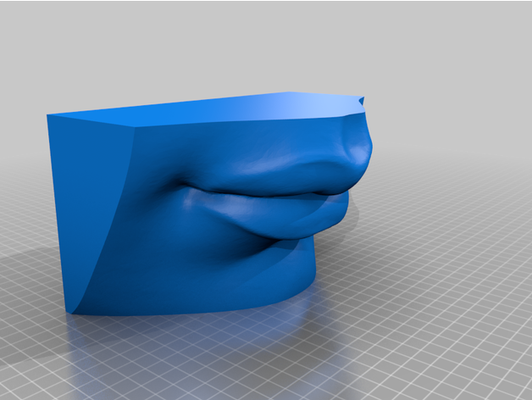 cabeza of david boca by lexanime ngss ccss david 3d print model - Mito3D