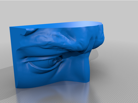 cabeza of david ojos by lexanime david 3d print model - Mito3D