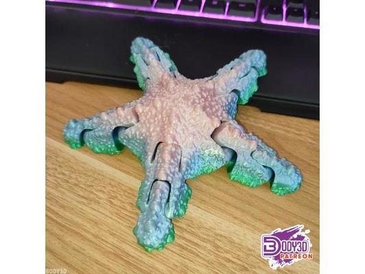 articulated starfish by body-3d animal color fish flex flexi flexible multi multicolor star 3d print model - Mito3D