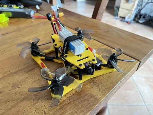 paolo fpv by paolofpv1000 drone 3d print model - Mito3D
