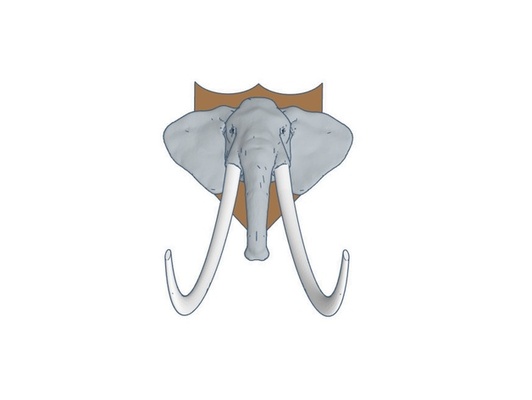 fil baş a plak by yabancılaştırıcı afrika hayvan filler kalkan dişler 3d print model - Mito3D