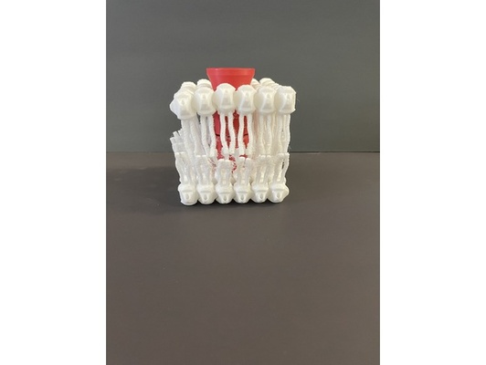 interactive cell membrane model by rogerdog ngss ccss 3d print model - Mito3D