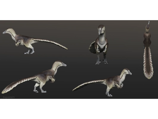 austroraptor estatueta by dragonartist15 animal animais dinossauro dinossauros dromeossauro penas raptor escultura terópode 3d print model - Mito3D