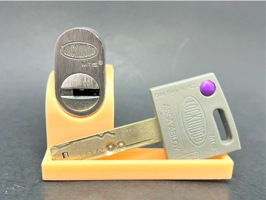 17 8mm ovale cilindro serratura schermo sta by lockpickingdev montare in piedi chiave grimaldello lockpicking locksport locksports montabile 3d print model - Mito3D