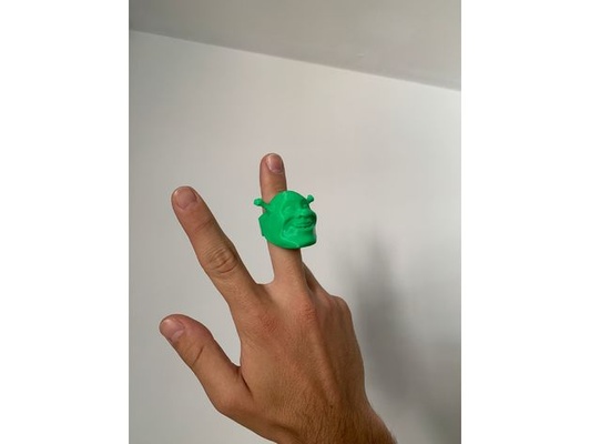 shrek anillo shrexy encoger by harodepablo 3d print model - Mito3D