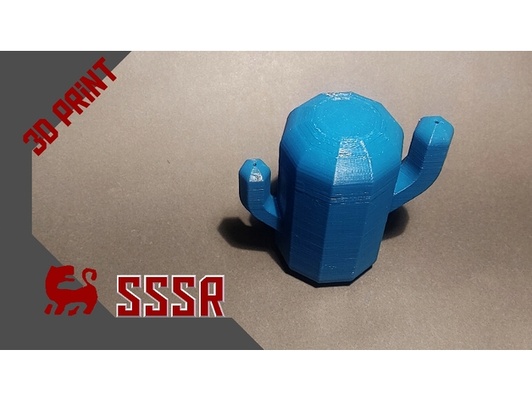 cactus toothpick holder by sssr sh box cotton swabs 3d print model - Mito3D