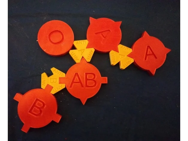 blood type game by dpmott antigen biology education educational 3D print model - Mito3D
