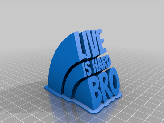 live is hard bro by gigantpro2000 customized 3d print model - Mito3D