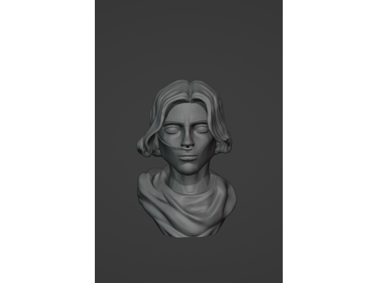 paul atreides by aven14 bust dune human person scifi 3d print model - Mito3D