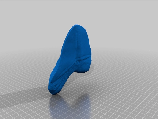 6 inch megalodon tooth by seediph 3d scan dentist prehistoric shark 3d print model - Mito3D