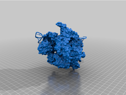 cas9 cible adn guider arn complexe by thomasr099 enzyme modèle protéine science 3d print model - Mito3D