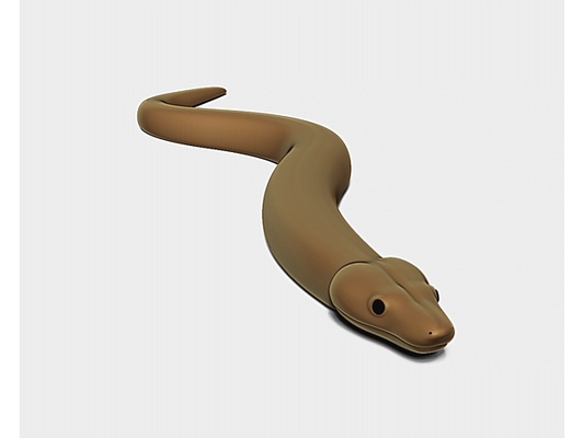 boa by pobaby 3d print model - Mito3D
