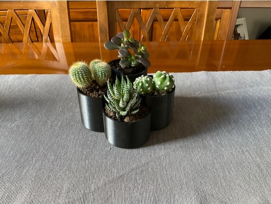 succulent plant pot by fabry making cactus vase 3d print model - Mito3D