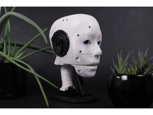 ez-inmoov robot head by ez-robot education educational kit inmoov modifications robotics stem 3d print model - Mito3D