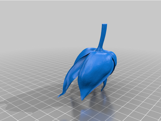 roger w by rogerwussow 3d print model - Mito3D