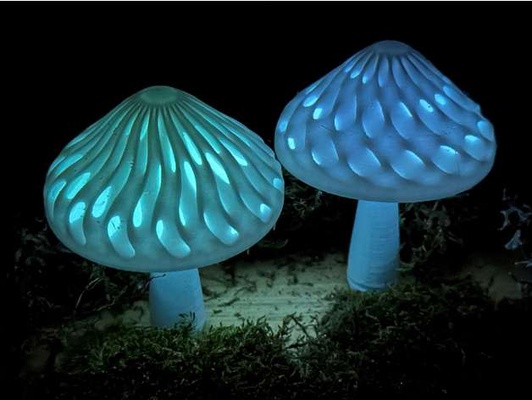 double couleur modulaire champignon casquettes glow in the dark by davefaitdestrucs bambu bambulab lueur sombre multicolore champignons snapmaker j1 3d print model - Mito3D