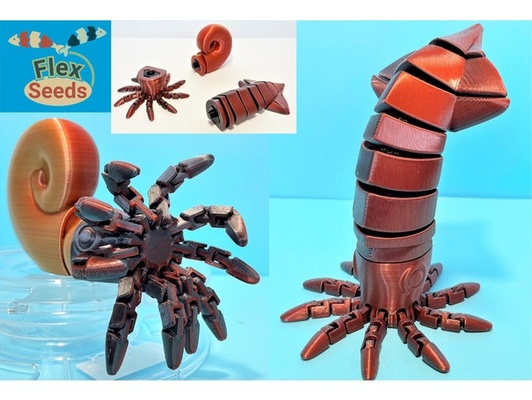 flexi calamar amonita conjunto by 3d semillas flexibles animal animales articulado flexible mascota impresión in sitio mar juguete juguetes 3d print model - Mito3D