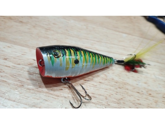 topwater popper by jerc2791 pesca adescare 3d print model - Mito3D