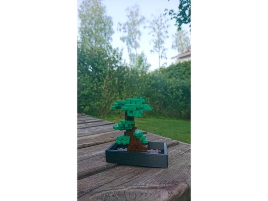 plus bonsai tencere by erbonator3000 artı 3d print model - Mito3D