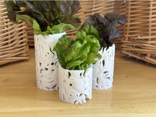 lactuca series cylinder vases by davemakesstuff container contour lettuce organic vase 3d print model - Mito3D