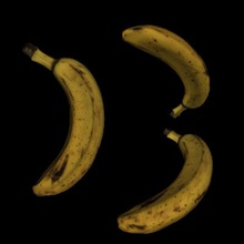 3d printable banana nature 3D printing model, file, design, print, banana, fruit, plants, 3d print model - Mito3D